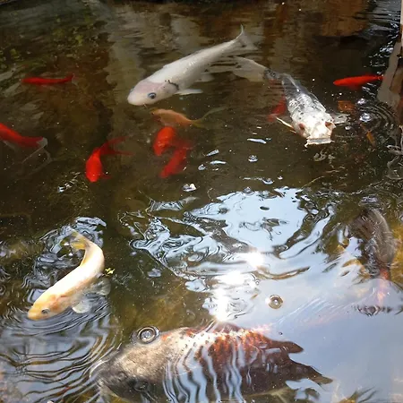 住宿加早餐酒店 Au Rocher De Pascal Lit Mezzanine 蒙塔利韦莱班