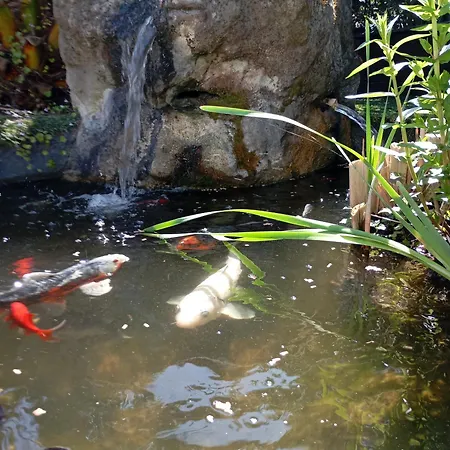 Au Rocher De Pascal Lit Mezzanine 3*