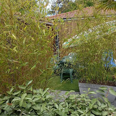 Au Rocher De Pascal Lit Mezzanine Bed & Breakfast Montalivet-les-Bains