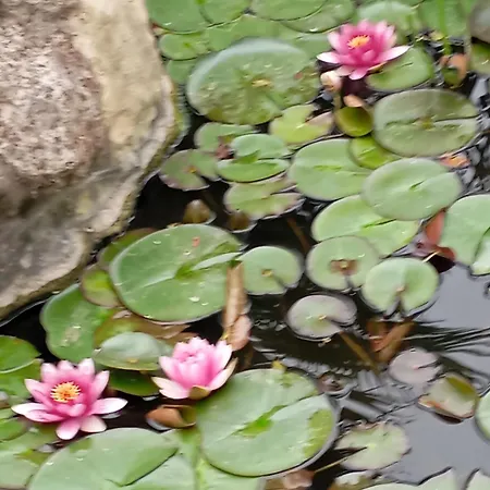 住宿加早餐酒店 Au Rocher De Pascal Lit Mezzanine 蒙塔利韦莱班