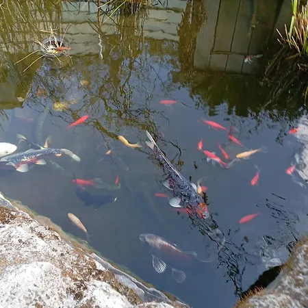 Au Rocher De Pascal Lit Mezzanine 住宿加早餐酒店 蒙塔利韦莱班