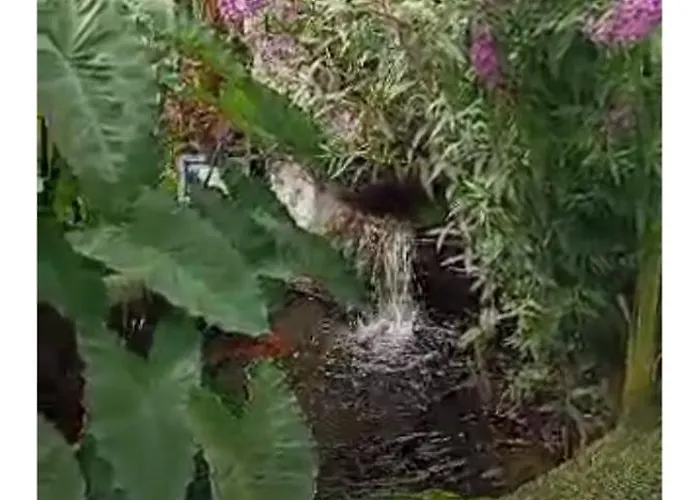 Au Rocher De Pascal Lit Mezzanine 3* Montalivet-les-Bains