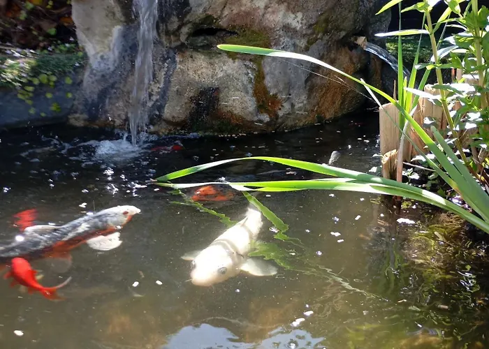 Au Rocher De Pascal Lit Mezzanine 3*