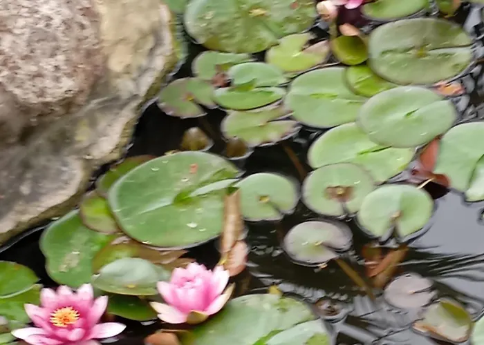 Bed and breakfast Au Rocher De Pascal Lit Mezzanine Montalivet-les-Bains