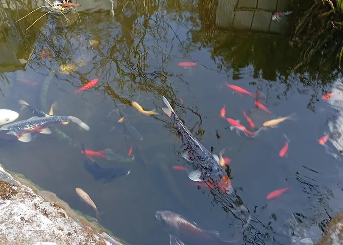 Au Rocher De Pascal Lit Mezzanine Bed and breakfast Montalivet-les-Bains